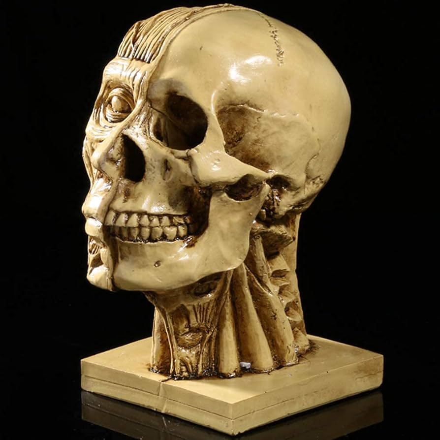 リラクゼーショングッズ Skull Lean Skull Pendant | Cyberpunk Savior